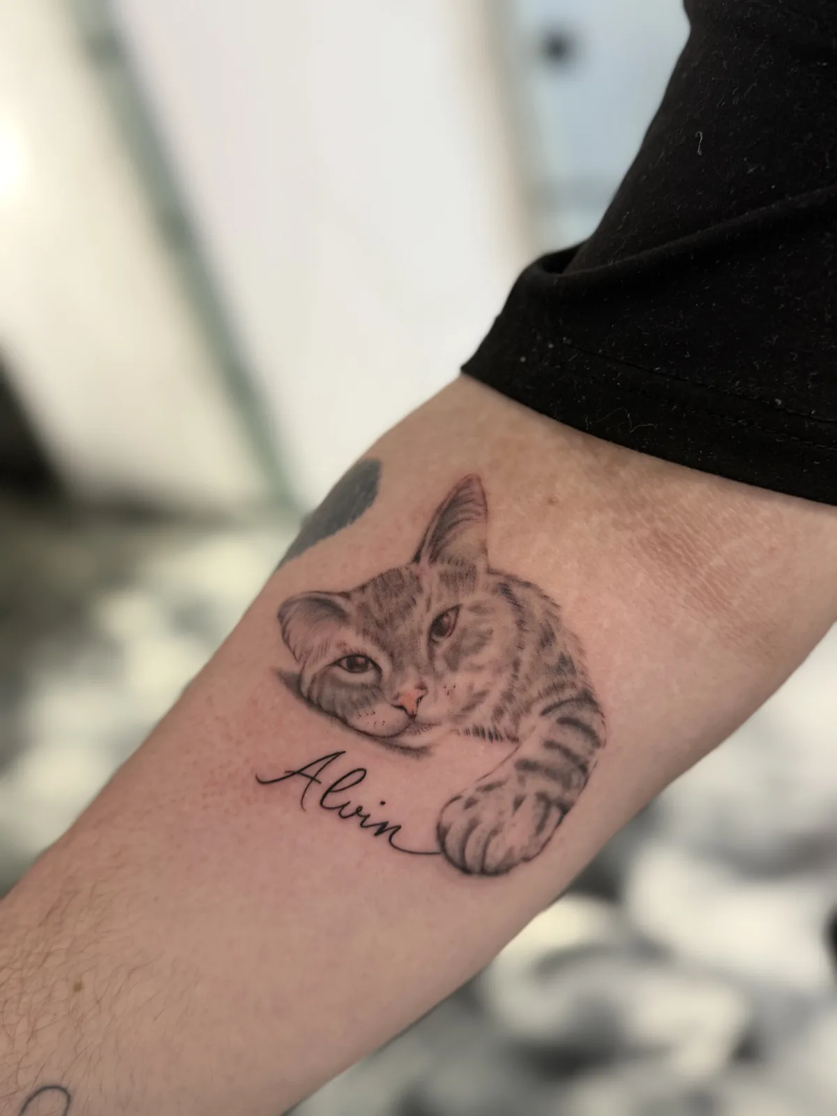 Fineline/Mikro-Realistic Tattoo Trustinkus Nürnberg