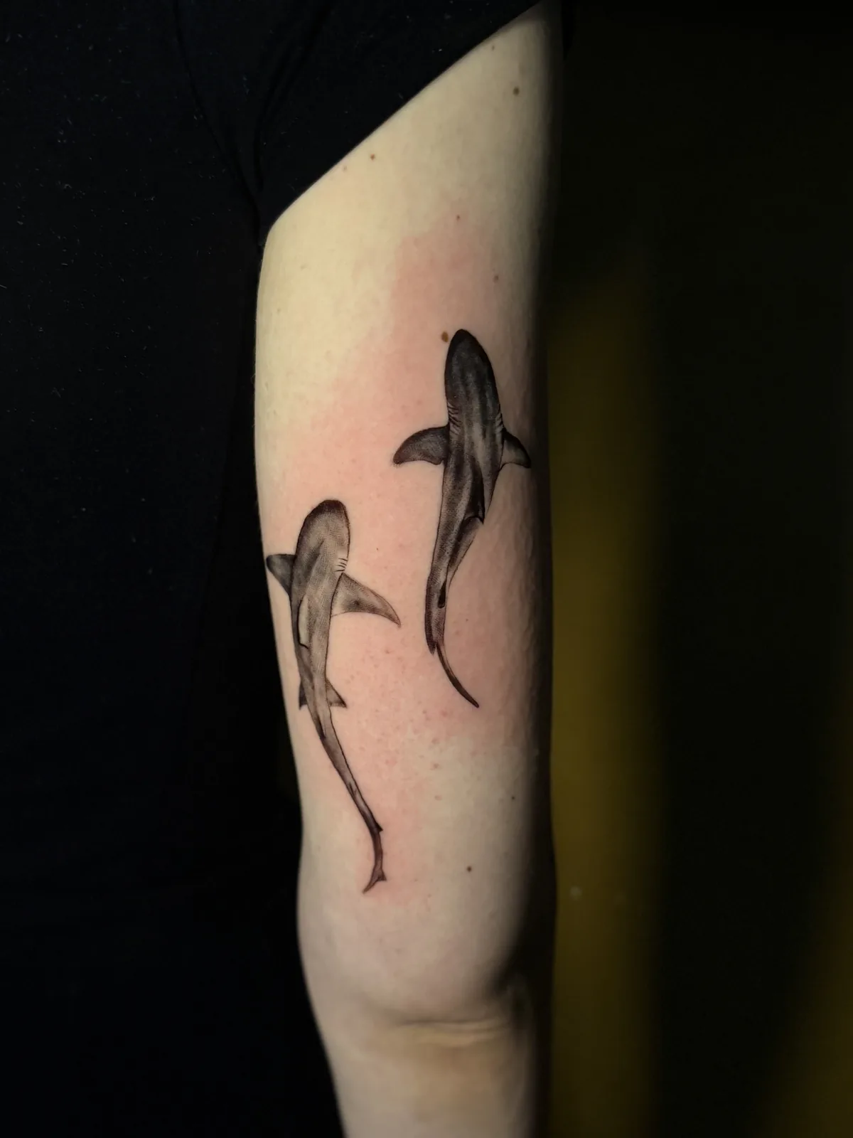 Fineline/Mikro-Realistic Tattoo Trustinkus Nürnberg