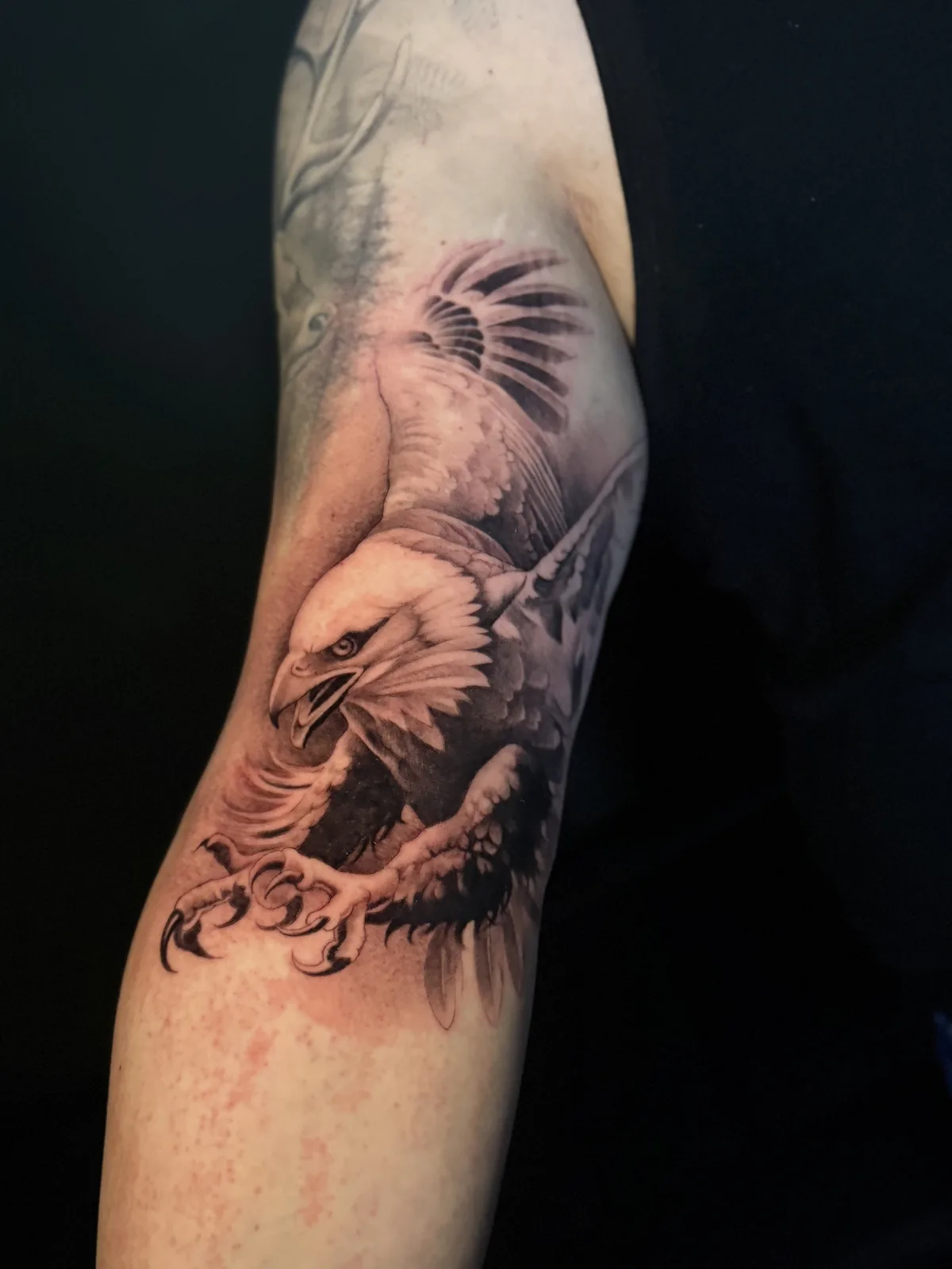 Realistic Tattoo Nürnberg – Adler